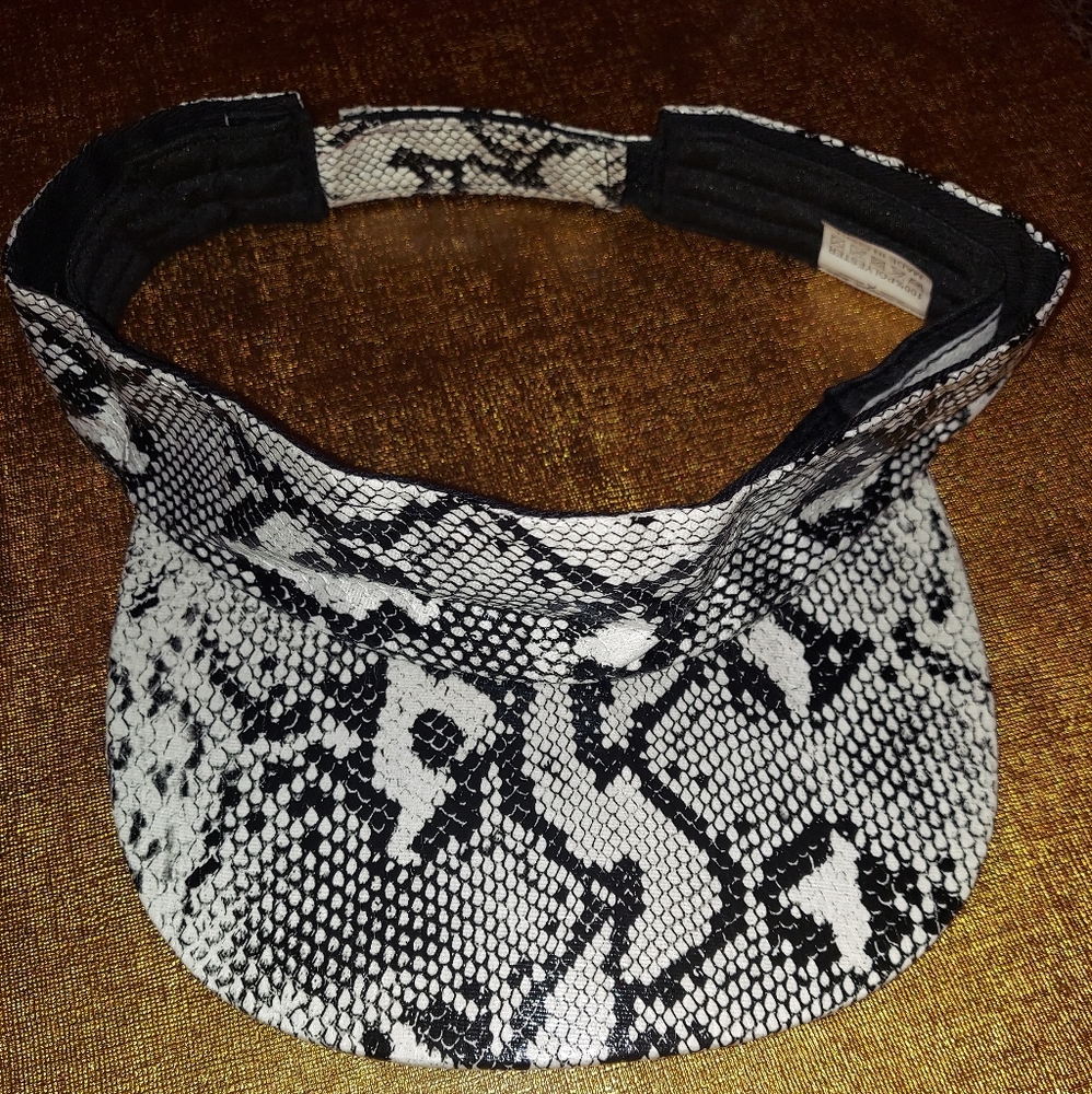 Visor